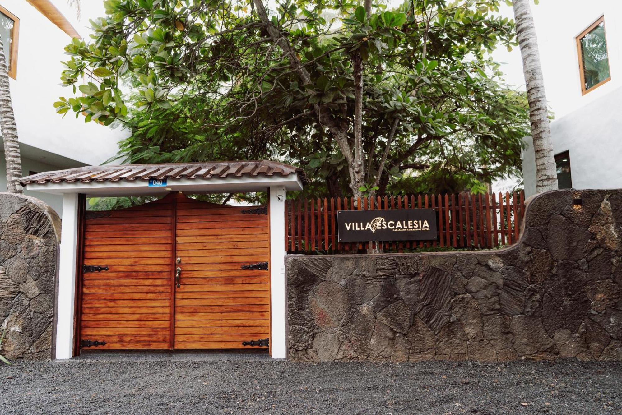 Hotel Villa Escalesia Galapagos Puerto Ayora  Extérieur photo